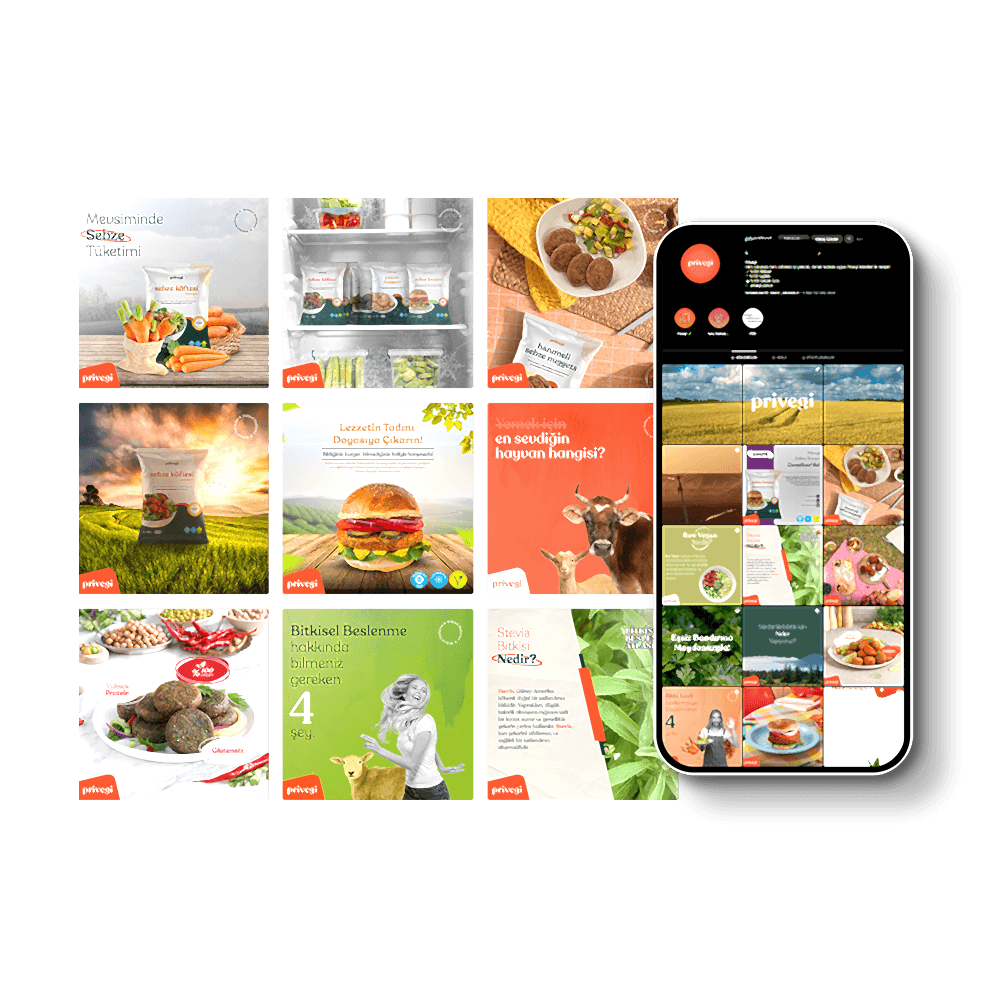 Privegi Sosyal Medya Çalışması